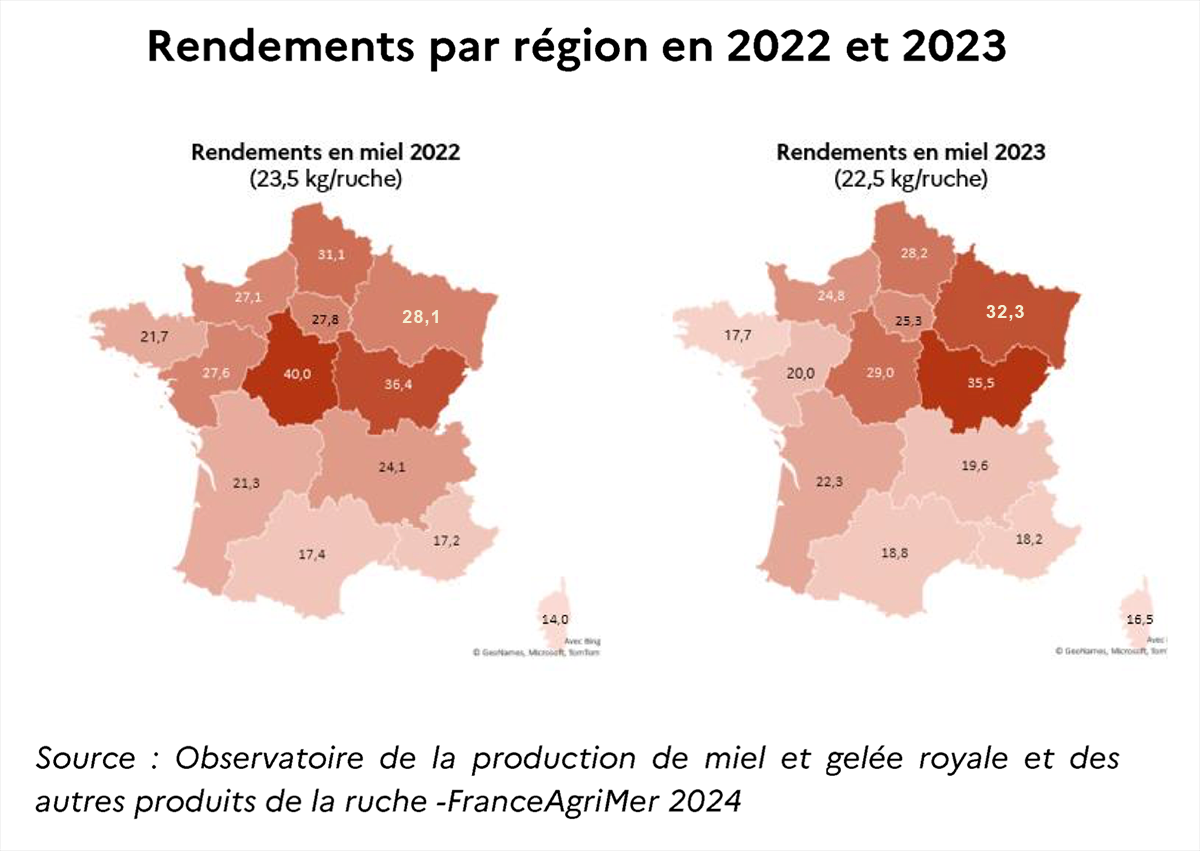 Carte du rendement en apiculture française par région en 2022 et 2023. 