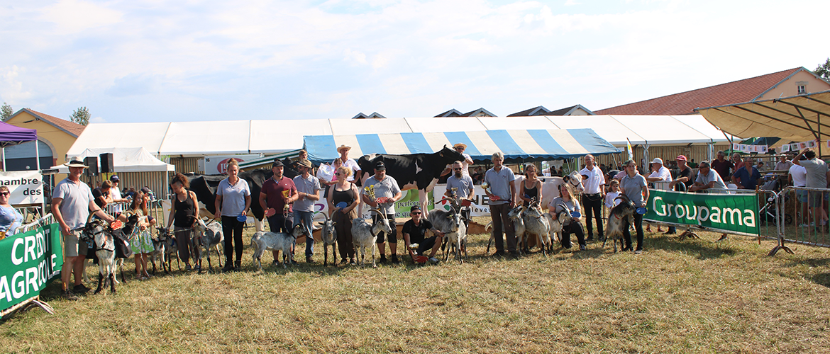 En fin d’après-midi, les gagnants toutes espèces et catégories confondues se sont retrouvés sur le ring. ©Photo Comice Agricole de Rambervillers