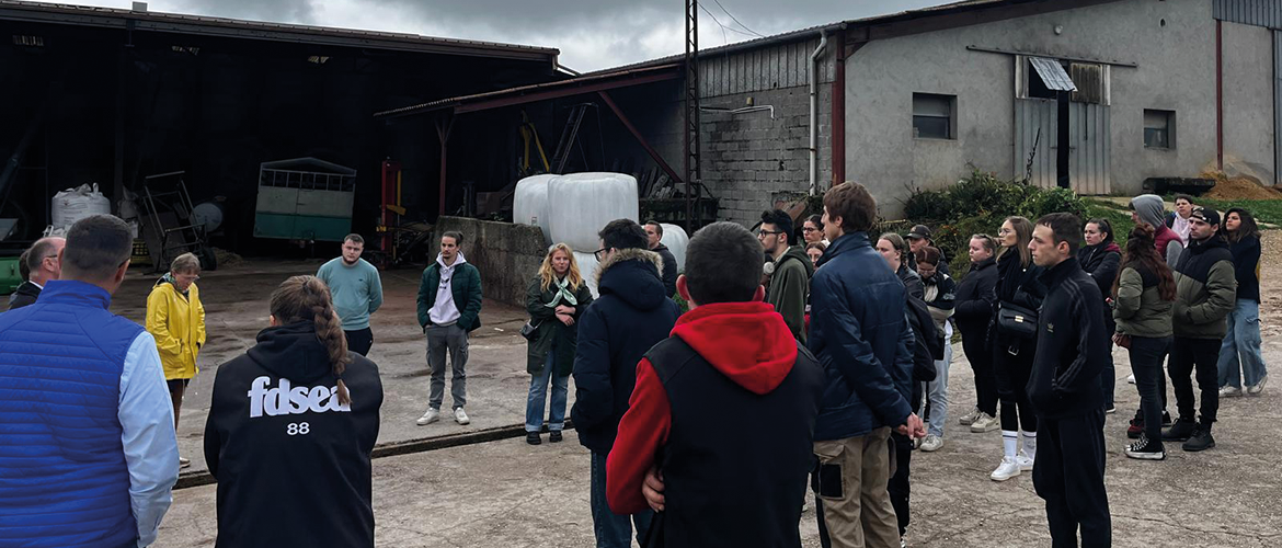 Les jeunes se sont rendus au GAEC du Rocher l'après-midi pour une visite de la ferme. © Photo FDSEA 88