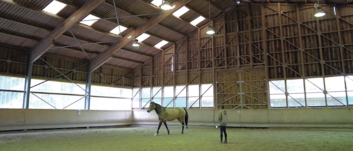 Les élèves de Bac pro CGEH ont chaque semaine un cours d’équitation. © Photo Mélanie Becker