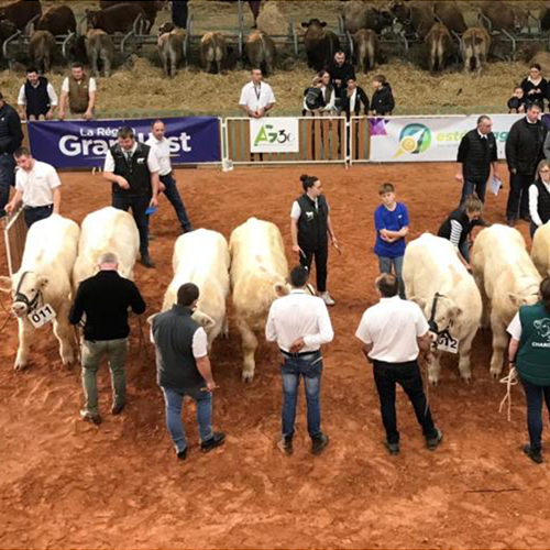 Foires agricoles sans présence d’animaux en concours, parfois annulation pure et simple des manifestations, de nombreux exemples d’échecs étaient à l’esprit de tous durant les semaines de préparation du salon Agrimax à Metz. © Photo Pierre Divoux