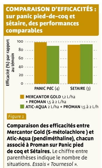 Source : Perspectives agricoles N° 518 (février 2024)