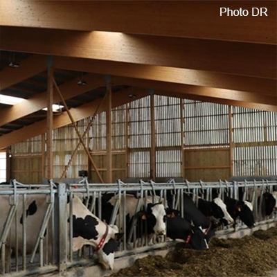 Les associés ont privilégié le bois pour la construction, « pour l’ambiance plus chaleureuse dans le bâtiment » comparée aux bâtiments métalliques. Photo : H.Flamant.