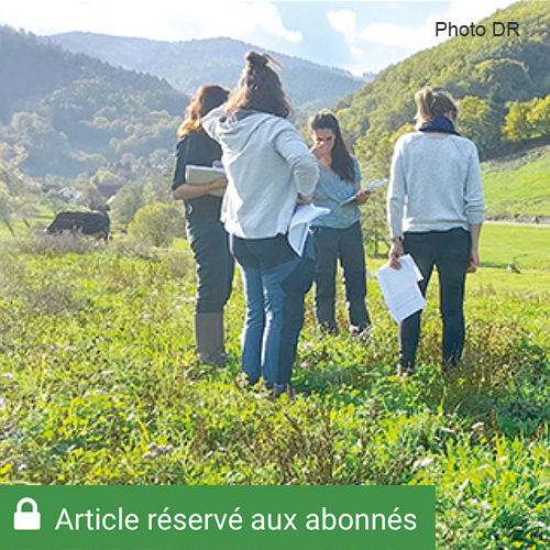 Visite d’une parcelle de fauche restaurée, à Wasserbourg, avec l’entreprise Nungesser qui a fourni les semences labellisées Végétal local. Photo : PNR des Ballons des Vosges